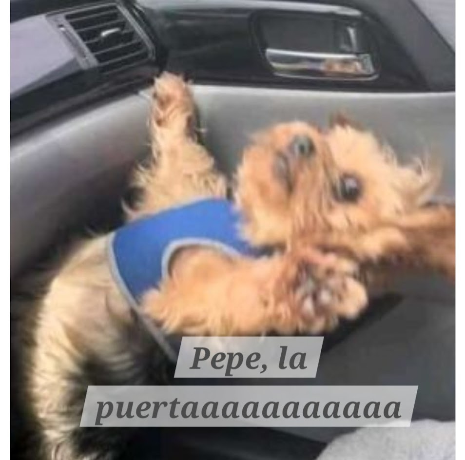 WhatsApp Image 2024-12-03 at 11.27.16 AM