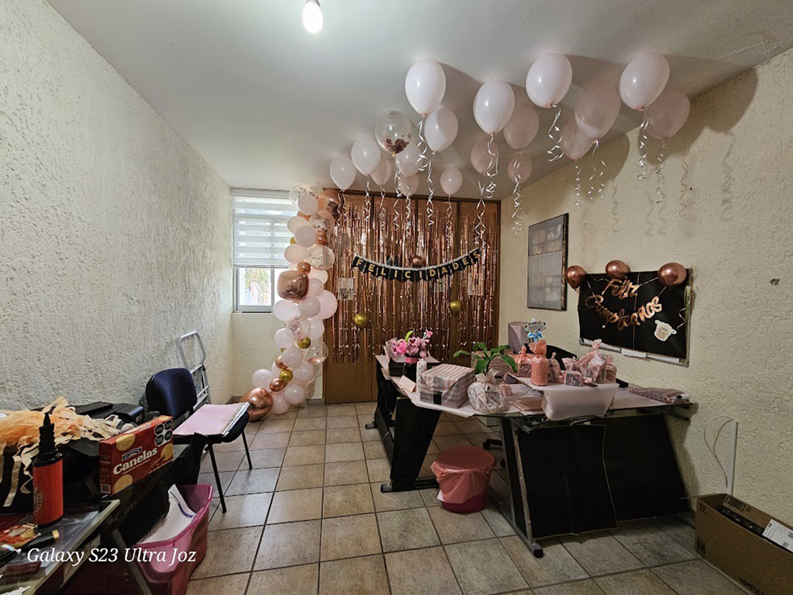 WhatsApp Image 2024-12-03 at 11.36.09 AM